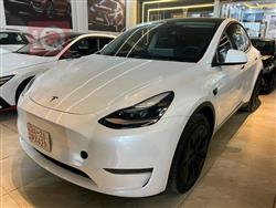 تسلا موديل Y